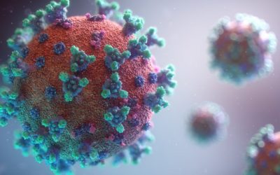Coronavirus – CHORE A CORPS suspend son activité pour une durée indéterminée